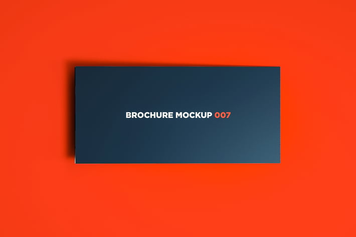 Brochure Mockup 007