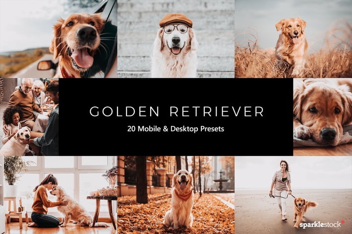 20 Golden Retriever Lightroom Presets & LUTs