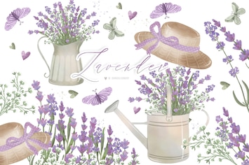 Lavender garden design
