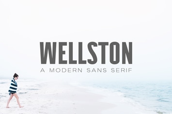 Wellston Modern Sans Serif Font