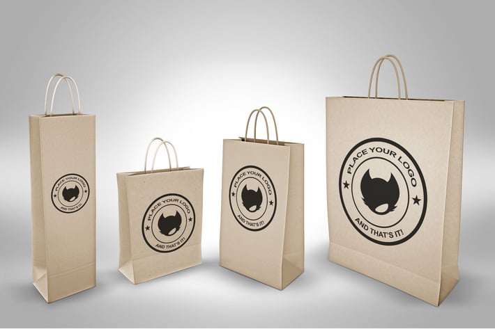 Paper Bag Mock Up