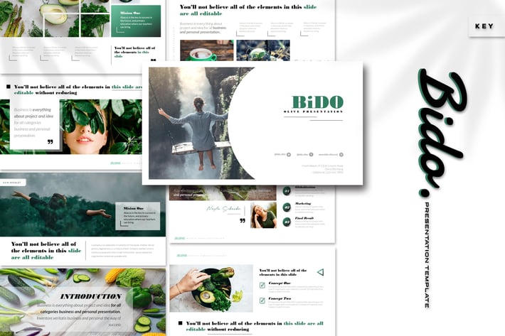 Bido - Keynote Template
