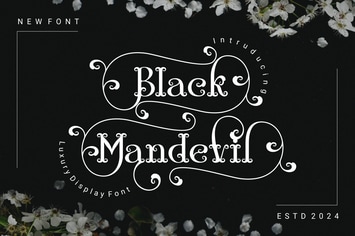 BlackMandevil  - Decorative Serif