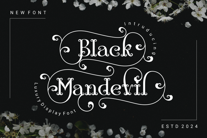 BlackMandevil  - Decorative Serif