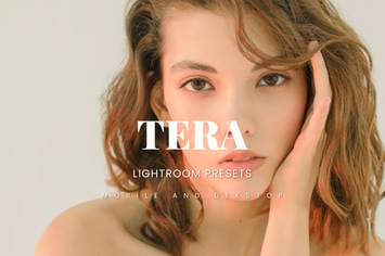 Tera Lightroom Presets Dekstop and Mobile