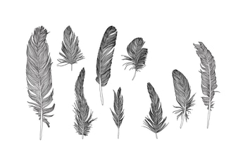 Hand drawn vector feathers set