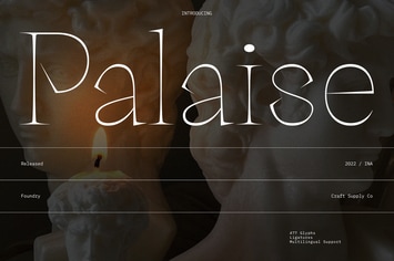 Palaise - Display Serif Typeface