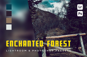 6 Enchanted Forest Lightroom and Photoshop Presets
