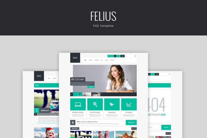Felius – PSD Template