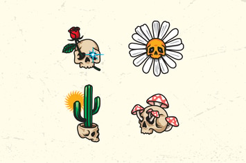 Skull Variations Icon
