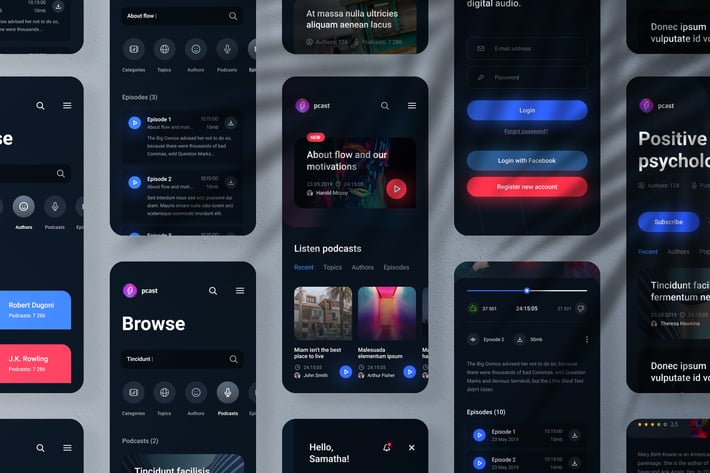 Application Screen Presentation Mockup