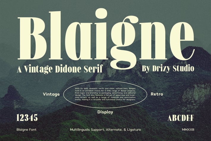 Blaigne - Serif Vintage Font