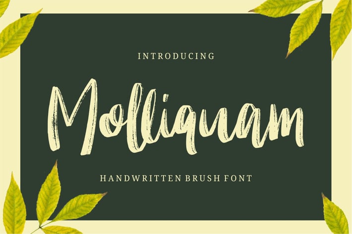 Molliquam