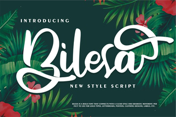 Bilesa | New Style Script
