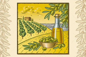 Olive Harvest