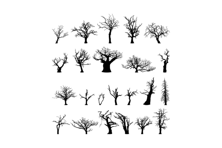 Winter trees collection