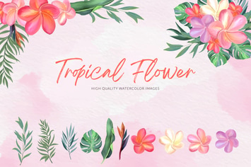 Tropical Flower Watercolor