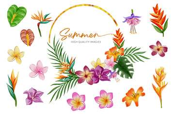 Floral Watercolor