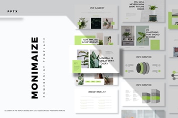 Monimaize - Powerpoint Template