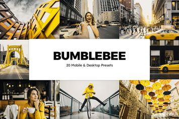 20 Bumblebee Lightroom Presets & LUTs