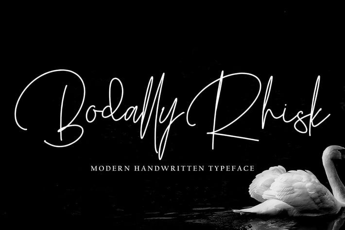 Bodally Rhisk