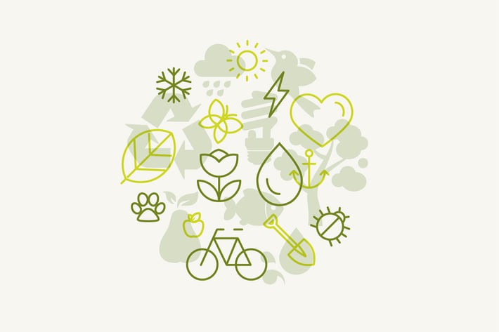 Ecology Set