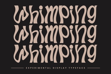 Whimping Experimental Display Typeface