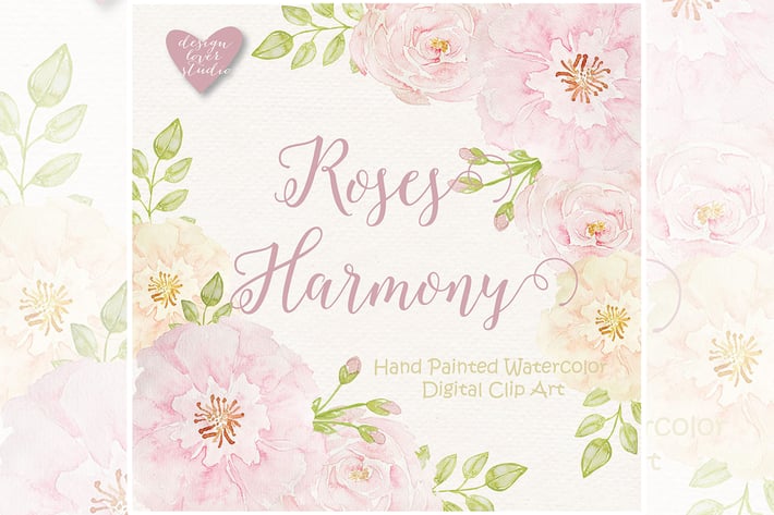 Watercolor Rose Blush design