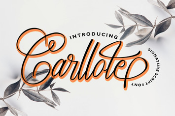 Carllote | Signature Script Font