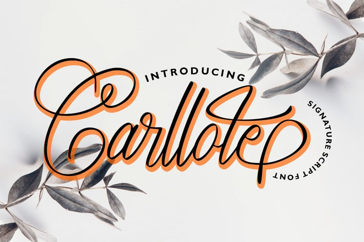 Carllote | Signature Script Font
