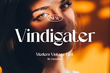  Vindigater Modern Retro Serif Font