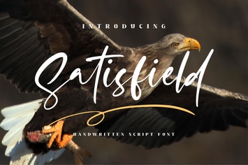 Satisfield Script