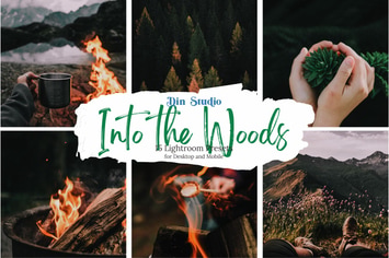 Into the Woods Lightroom Presets