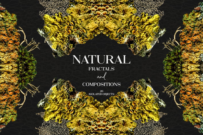 Natural Fractals and Compositions