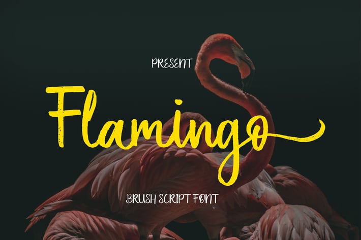 Flamingo Brush Script