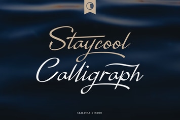 Staycool Calligraph Modern Script Font
