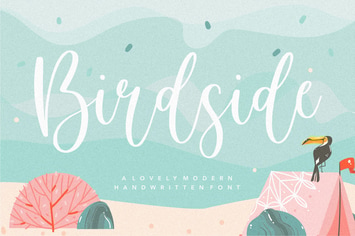 Birdside - A Lovely Handwritten Logo Font