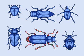 The Beetles Clipart