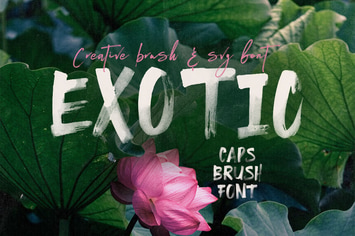 Exotic Brush & SVG Font