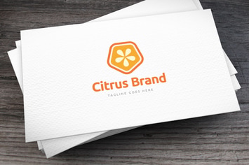 Citrus Brand Logo Template