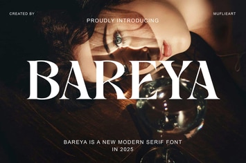 Bareya New Modern Serif