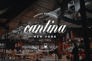 15 Vintage Logos & Badges V12