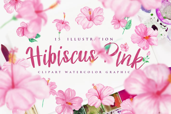 15 Watercolor Hibiscus Pink Flower Illustration