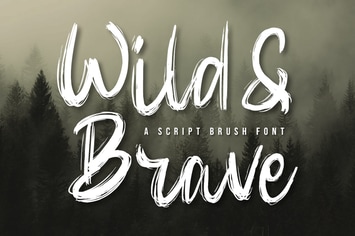 Script Brush Font