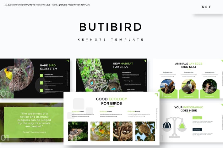 Butibird - Keynote Template