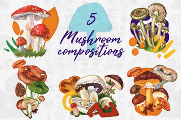 5 Mushroom Compositions