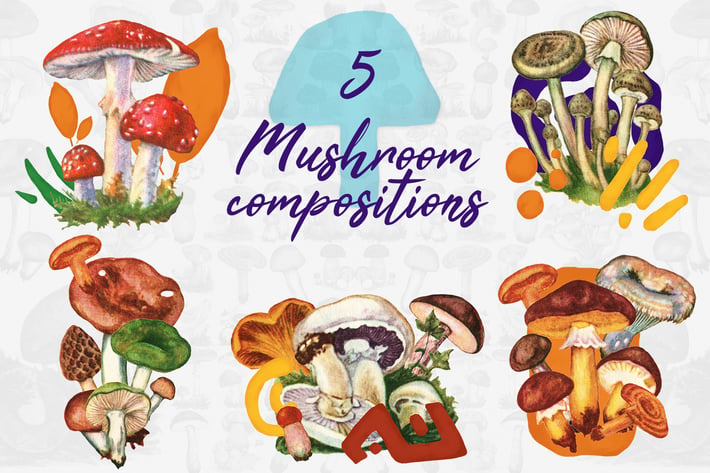 5 Mushroom Compositions