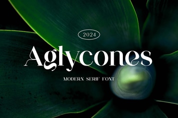 Aglycones Modern Serif Font