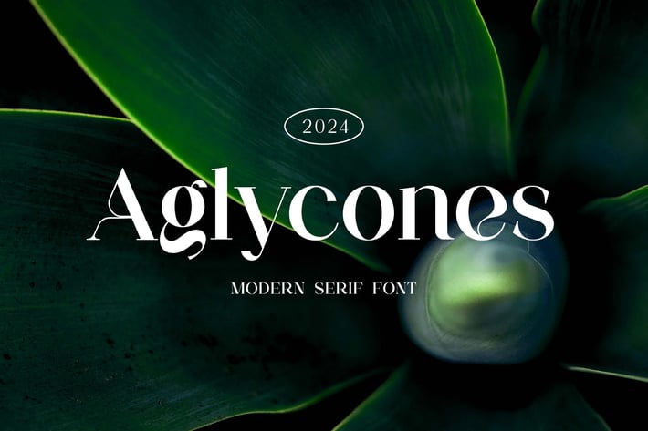 Aglycones Modern Serif Font