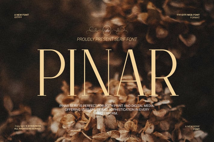 Pinar - Beauty Minimal Luxury Font
